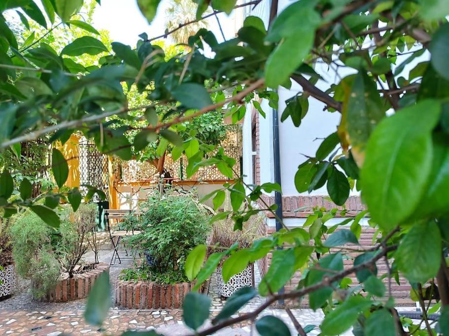 Casa Limonero Con Parking Gratis Junto A Centro Historico Villa Granada Exterior photo