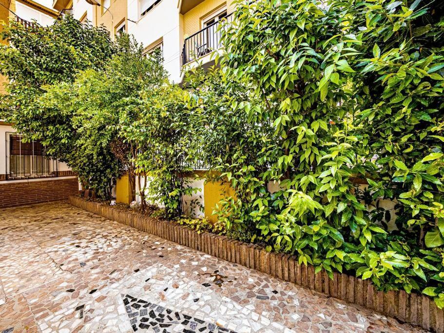 Casa Limonero Con Parking Gratis Junto A Centro Historico Villa Granada Exterior photo