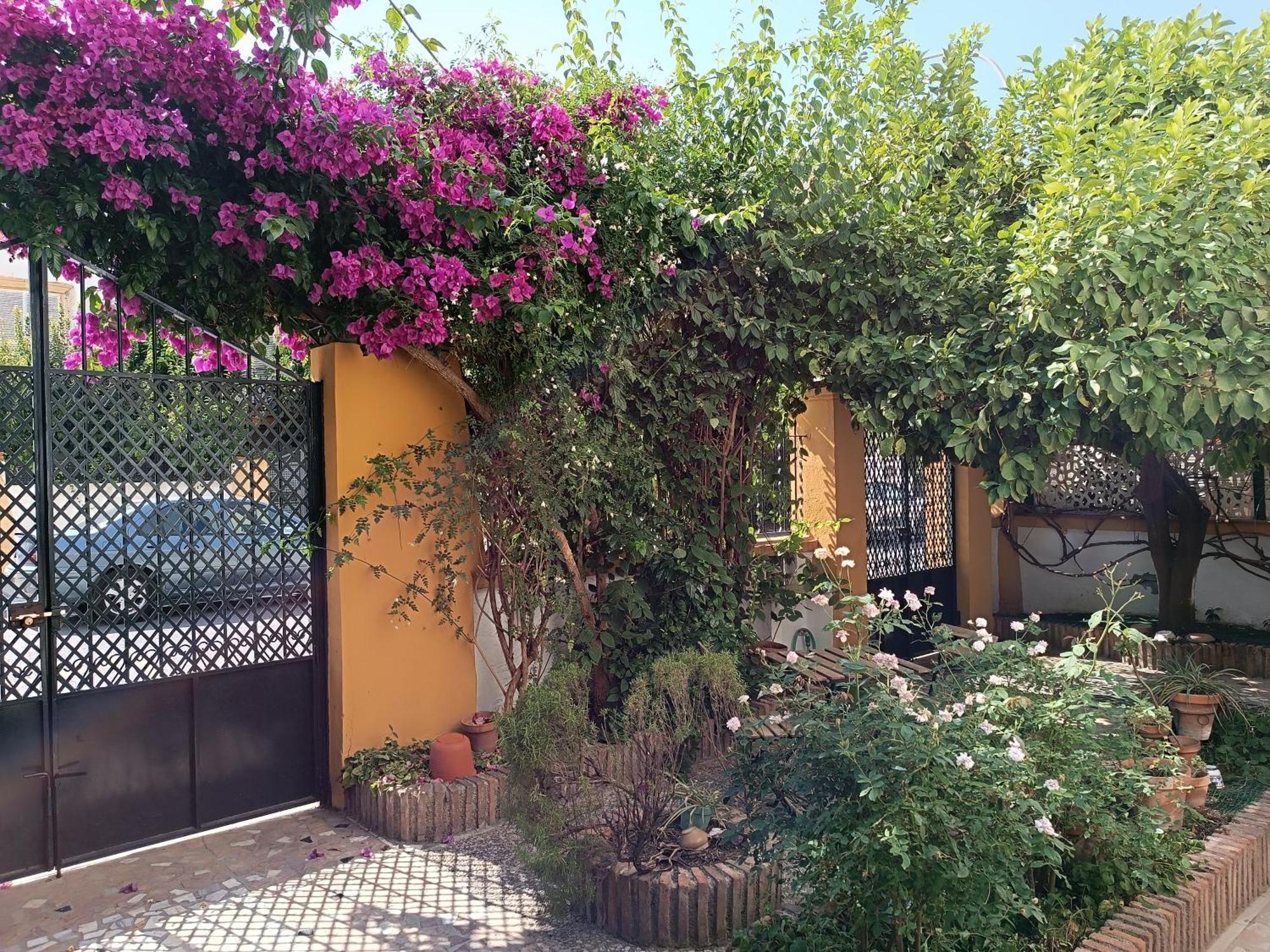Casa Limonero Con Parking Gratis Junto A Centro Historico Villa Granada Exterior photo